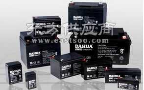 大華蓄電池12V21Ah 廠家現(xiàn)貨直供，品質(zhì)與效率的雙重保障